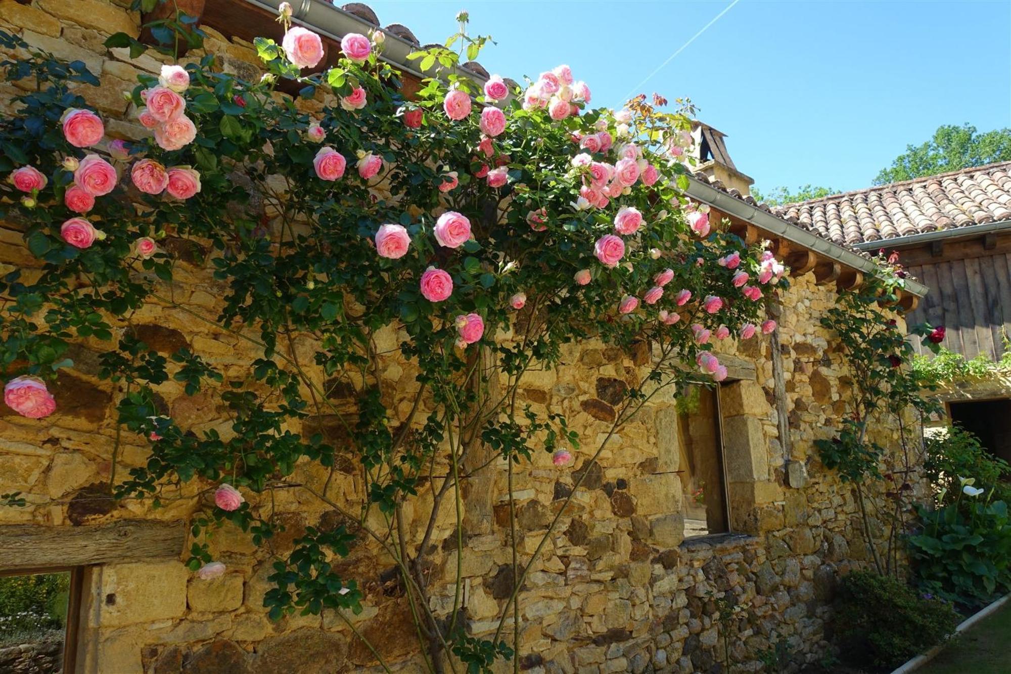 Domaine De Cournet Haut, A 17Th Century Property Set On A Calm, Idyllic Domain With Pool, Tennis, Bikes And More Les Vauries Ngoại thất bức ảnh