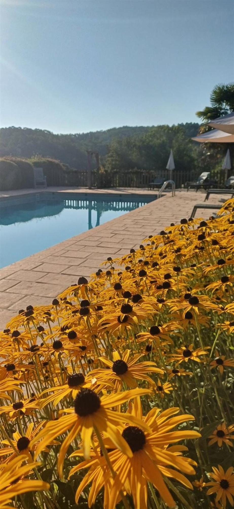 Domaine De Cournet Haut, A 17Th Century Property Set On A Calm, Idyllic Domain With Pool, Tennis, Bikes And More Les Vauries Ngoại thất bức ảnh